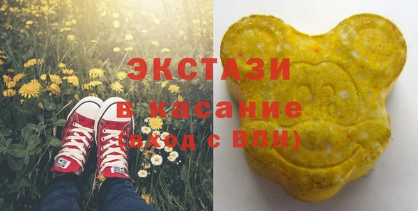 индика Зеленодольск