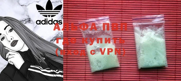 спиды Бородино