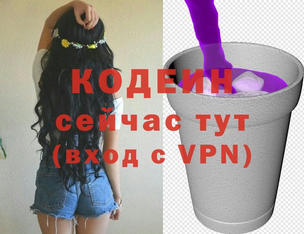 спиды Бородино
