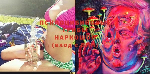спиды Бородино